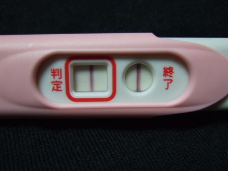 妊娠検査薬陽性反応