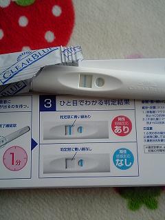妊娠検査薬陽性反応写真