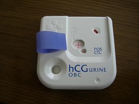 妊娠検査薬の陽性