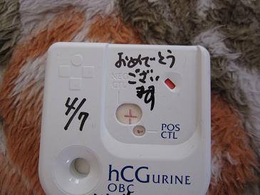 妊娠検査薬の陽性