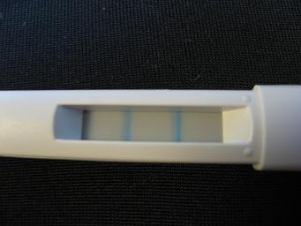 妊娠検査薬の陽性