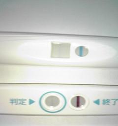 妊娠検査薬の陽性