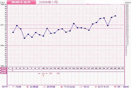 基礎体温グラフ