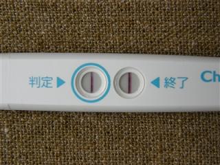 妊娠検査薬の陽性
