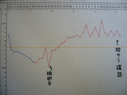 基礎体温グラフ
