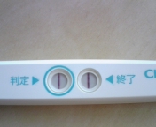 妊娠検査薬の陽性