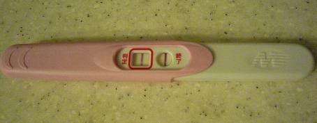 妊娠検査薬の陽性