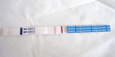 妊娠検査薬の陽性