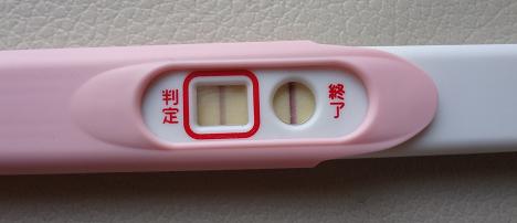 妊娠検査薬の陽性