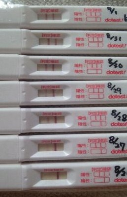 妊娠検査薬の陽性