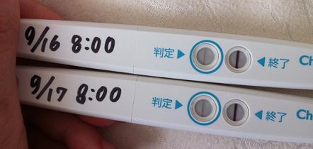 妊娠検査薬の陽性