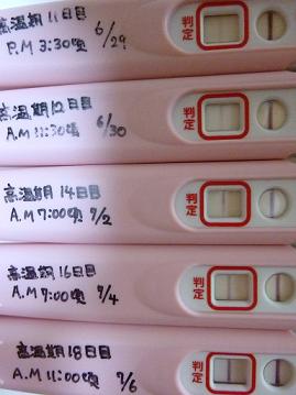 妊娠検査薬の陽性