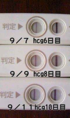 妊娠検査薬の陽性