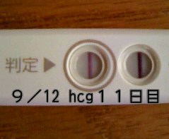 妊娠検査薬の陽性