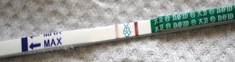妊娠検査薬の陽性