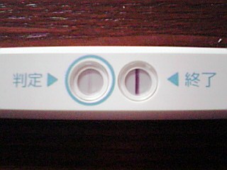 妊娠検査薬の陽性