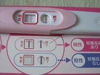 妊娠検査薬の陽性