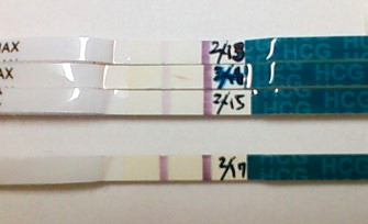 妊娠検査薬の陽性