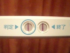 妊娠検査薬の陽性