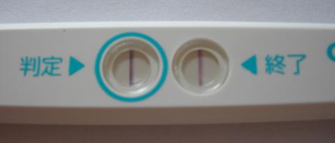 妊娠検査薬の陽性