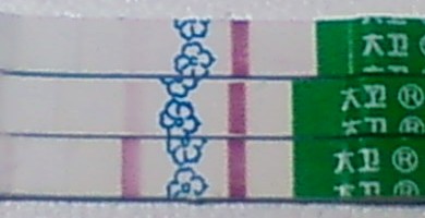 妊娠検査薬の陽性