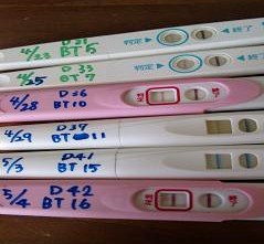 妊娠検査薬の陽性