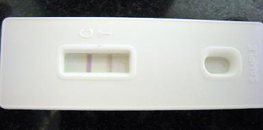 妊娠検査薬の陽性