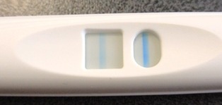 妊娠検査薬の陽性