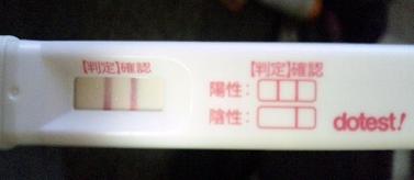 妊娠検査薬の陽性