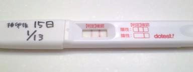 妊娠検査薬の陽性