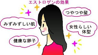 エストロゲン