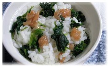 紫蘇と梅の酢飯